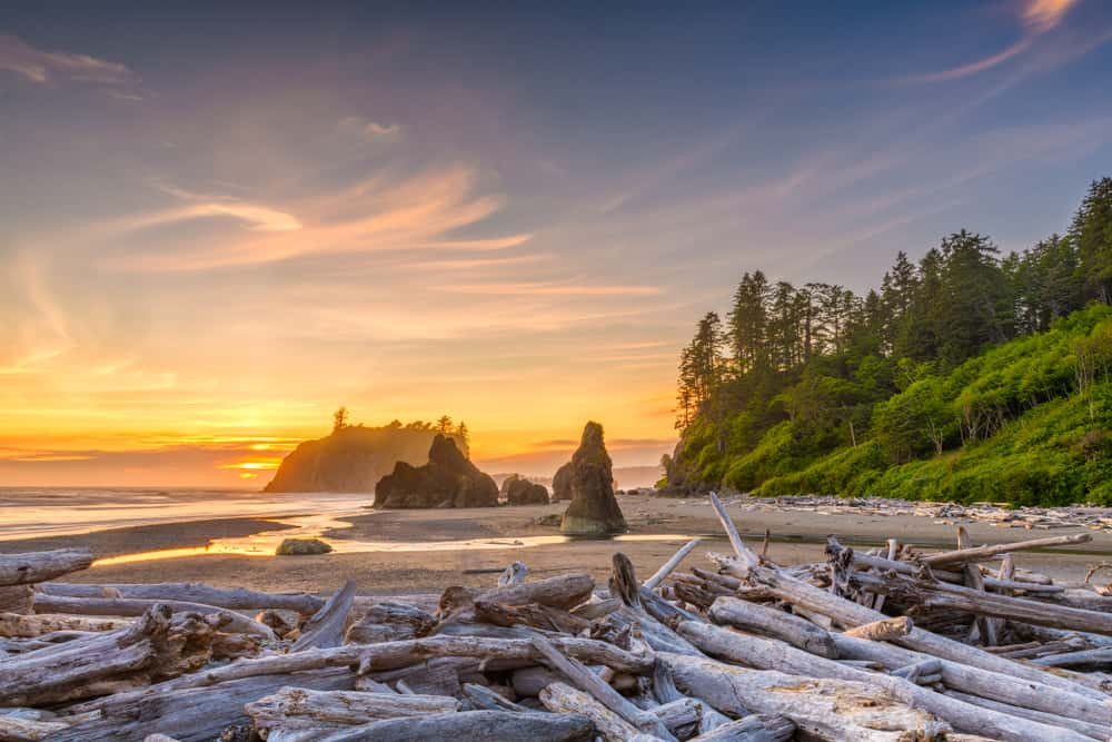 Majestic landscape of Olympic National Park, a top destination for July travel in the USA
