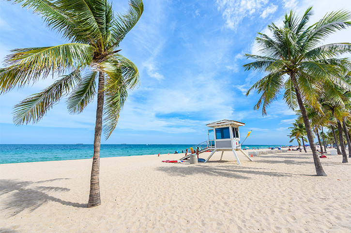 Fort Lauderdale beach with palm trees and blue sky