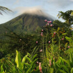 Lush greenery of Costa Rica landscape during the day