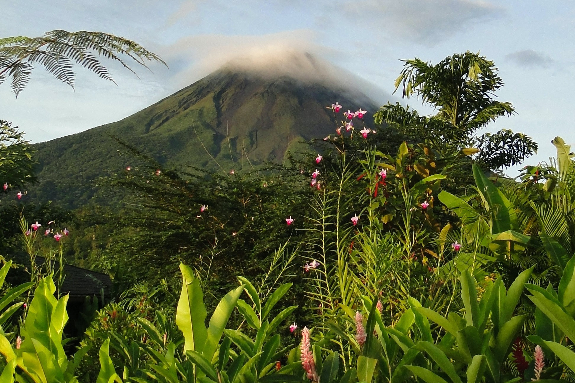 Lush greenery of Costa Rica landscape during the day