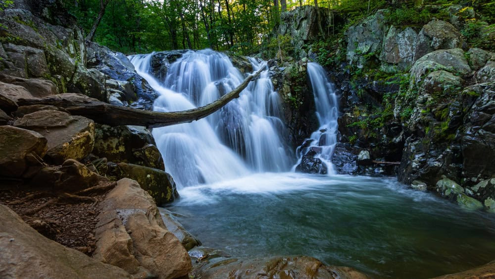 Lush landscapes of Shenandoah National Park, Virginia in May