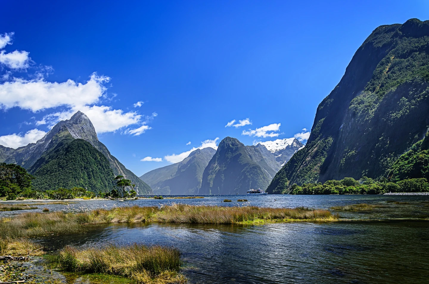 Fiordland, New Zealand