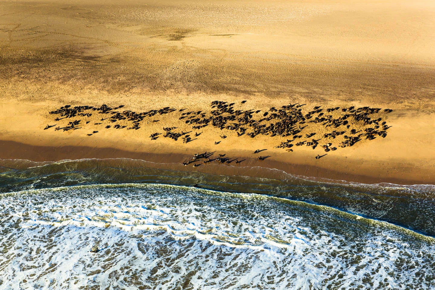 Skeleton Coast, Namibia