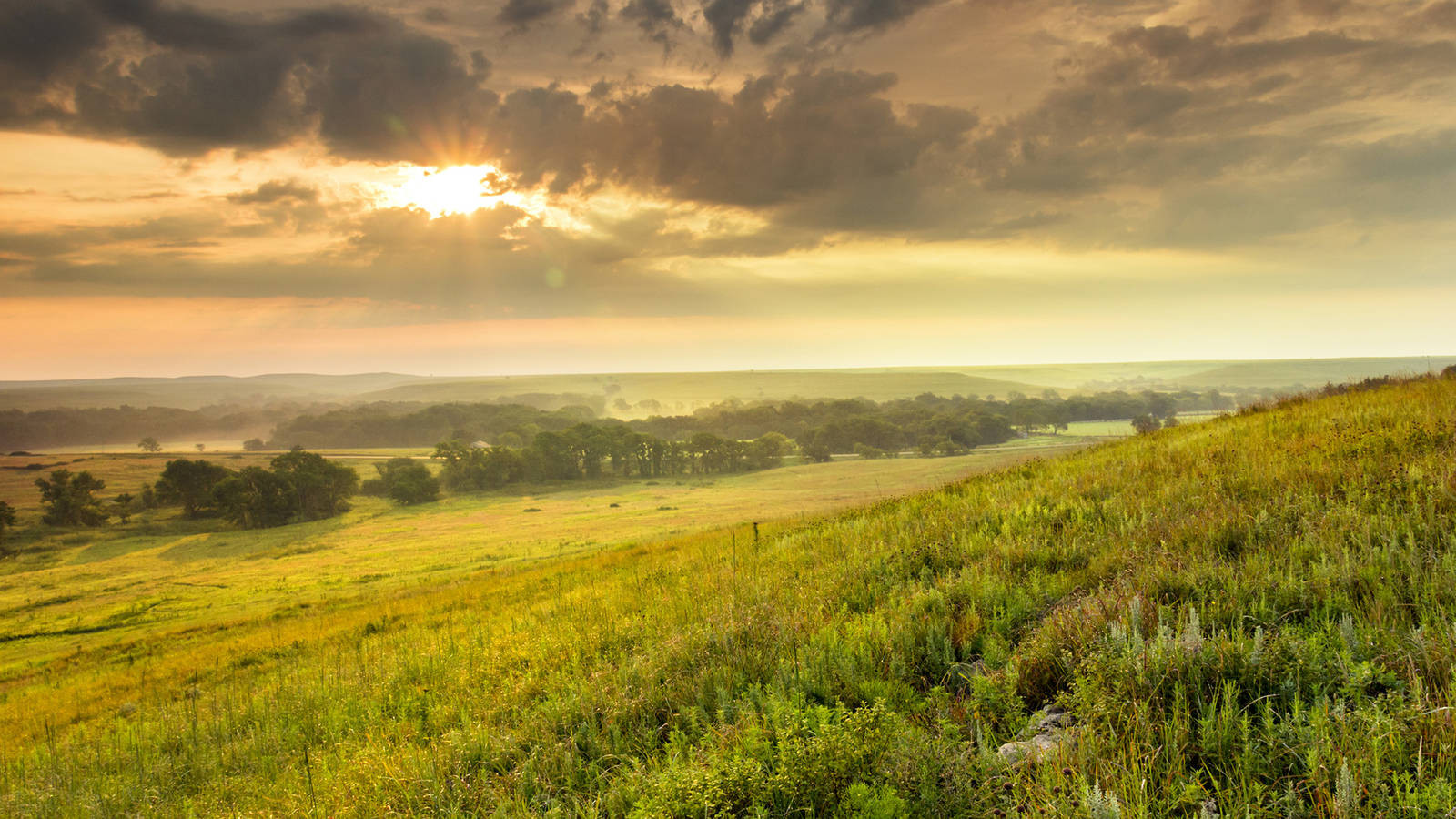 Tallgrass Prairie in Kansas