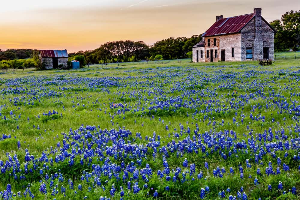 Rolling hills of Texas Hill Country