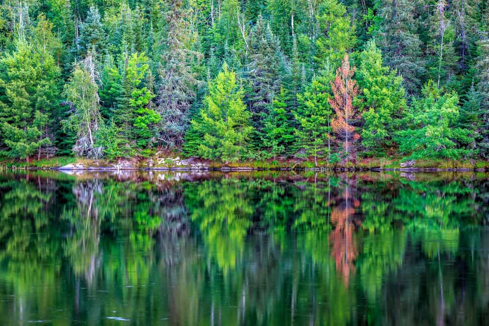 Tranquil beauty of Voyageurs National Park, Minnesota, perfect for a July getaway