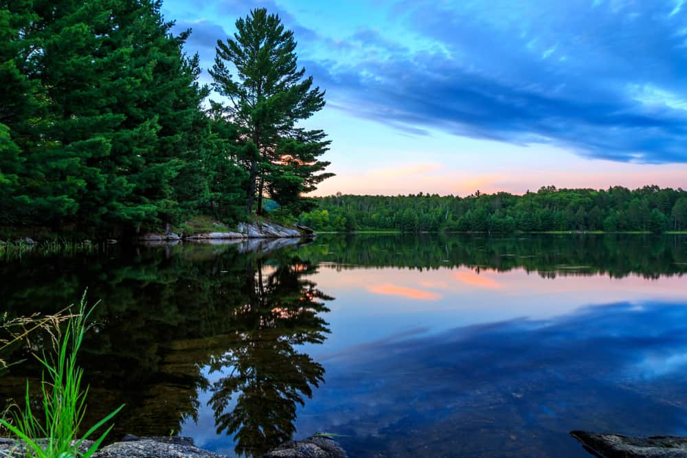 Voyageurs National Park in July, showcasing its lush summer landscapes