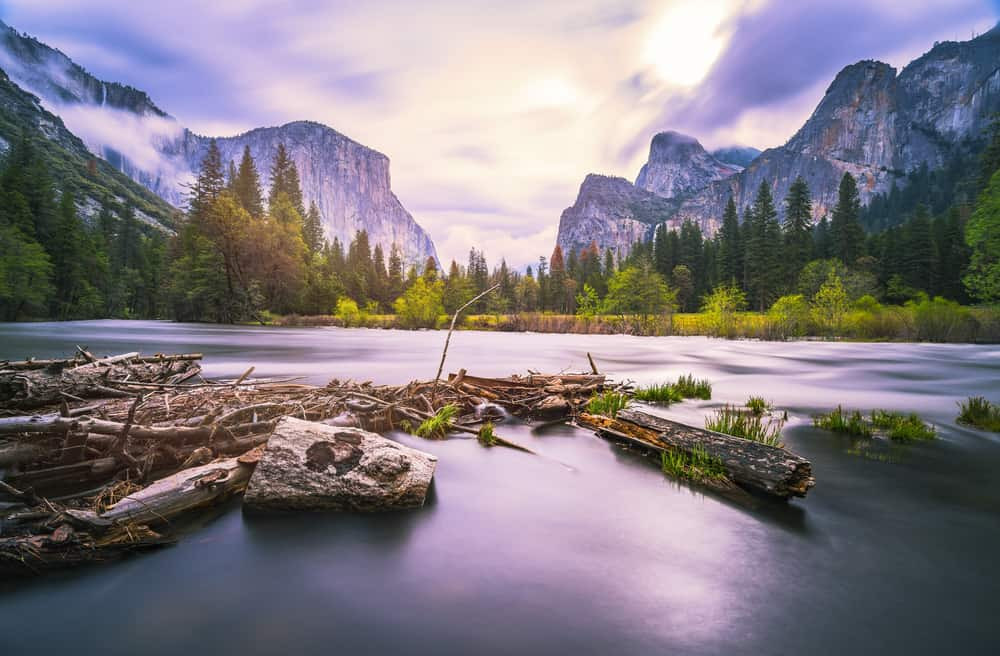 Yosemite National Park in Springtime