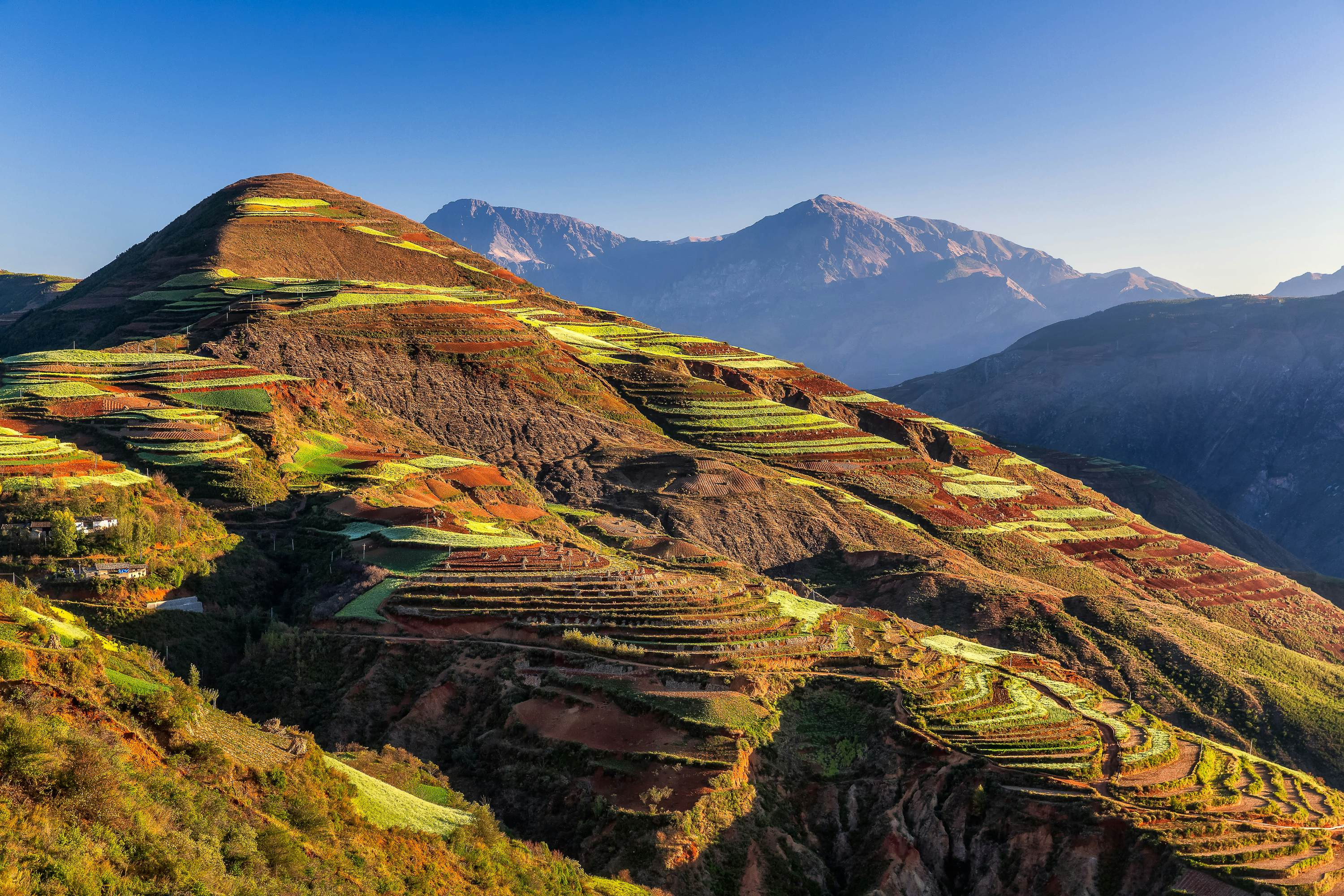 Rice terraces in Yunnan, China