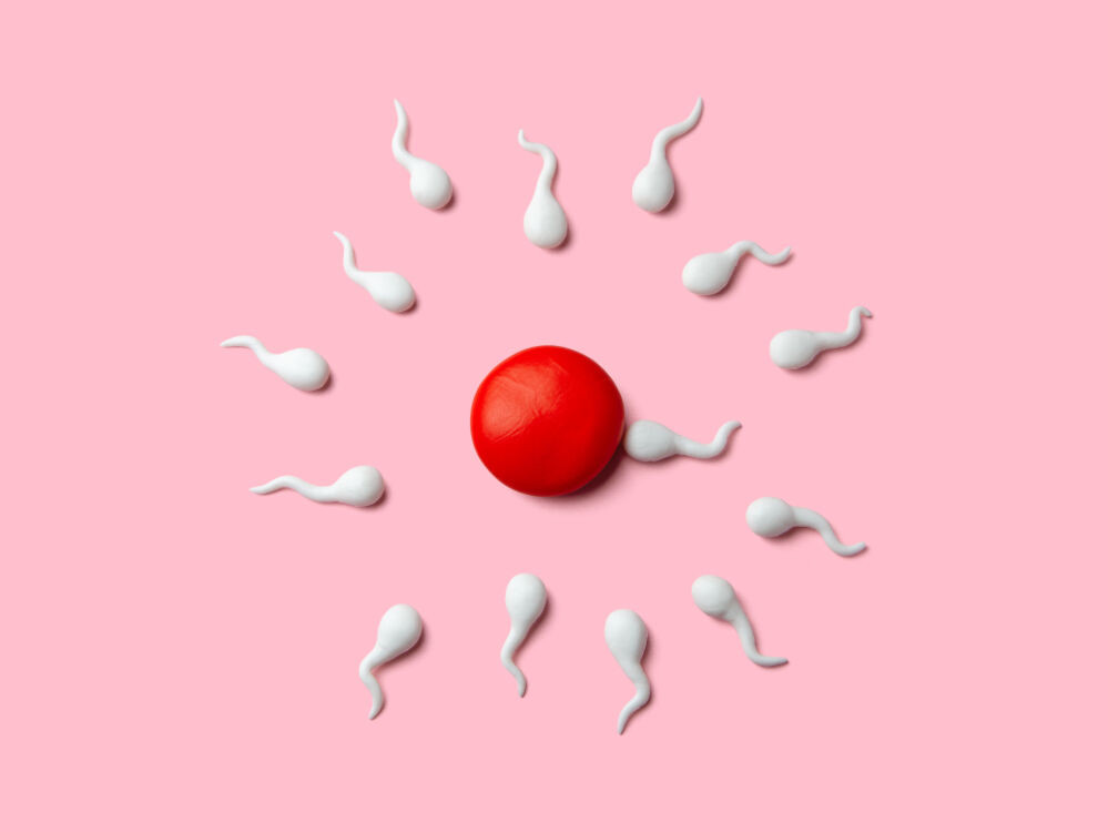 Sperm reaching the egg