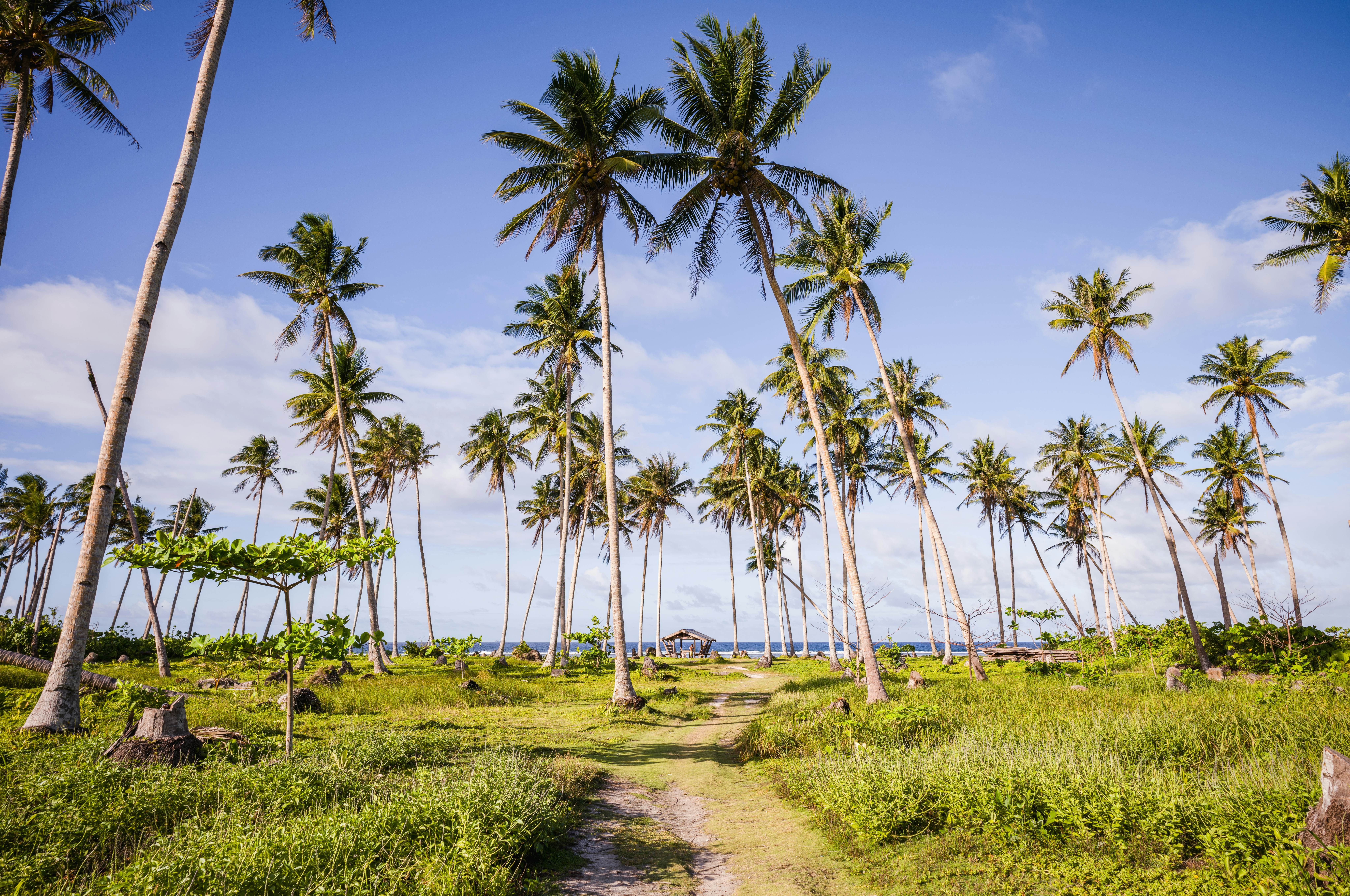A pathway leading to a beach in Bali, Indonesia