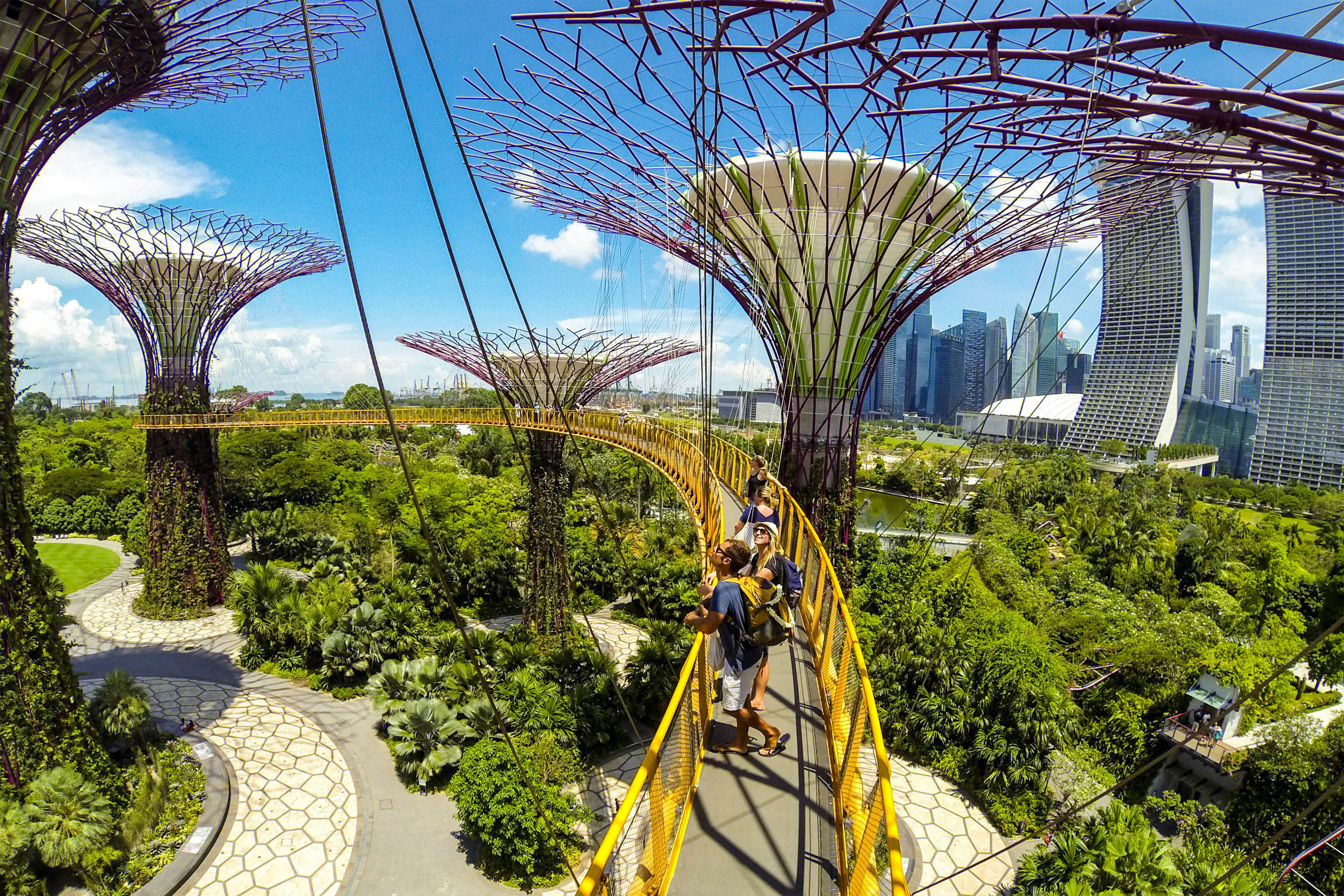 The Supertrees at Gardens by the Bay in Singapore