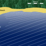 Waves approaching the shore of Long Beach in Pacific Rim National Park. As the waves (depicted by white lines) approach shore, they are refracted to become more parallel to the beach, and their wavelength decreases. [SE]