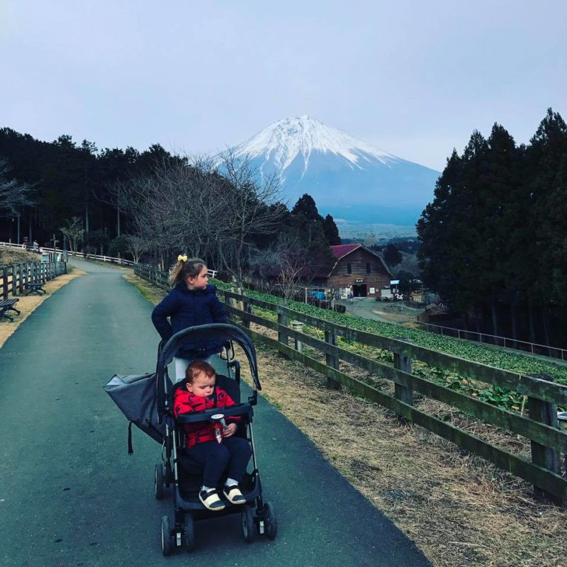 Stroller in front of Mt Fuji
