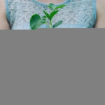 Person holding small green plant in soil