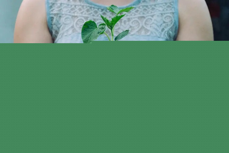 Person holding small green plant in soil